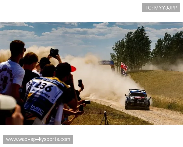 WRC粉丝团体：全球车迷的热情聚会，wrc车队排名