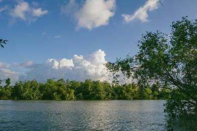 高校篮球比赛引入战术挑战机制加强赛事策略性，篮球比赛大学