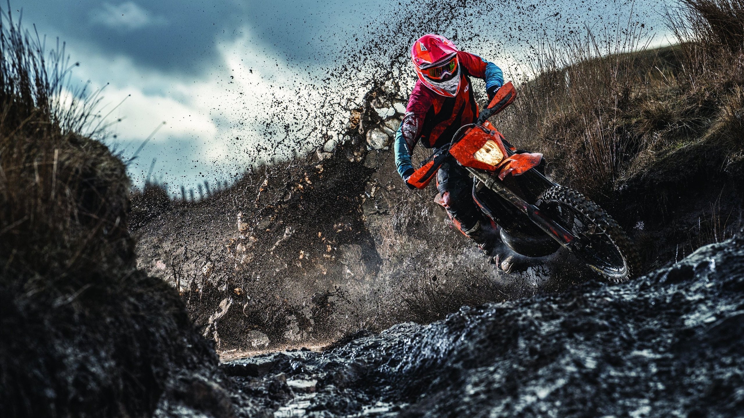 公牛队逐步崭露头角，迎接未来，公牛队是啥