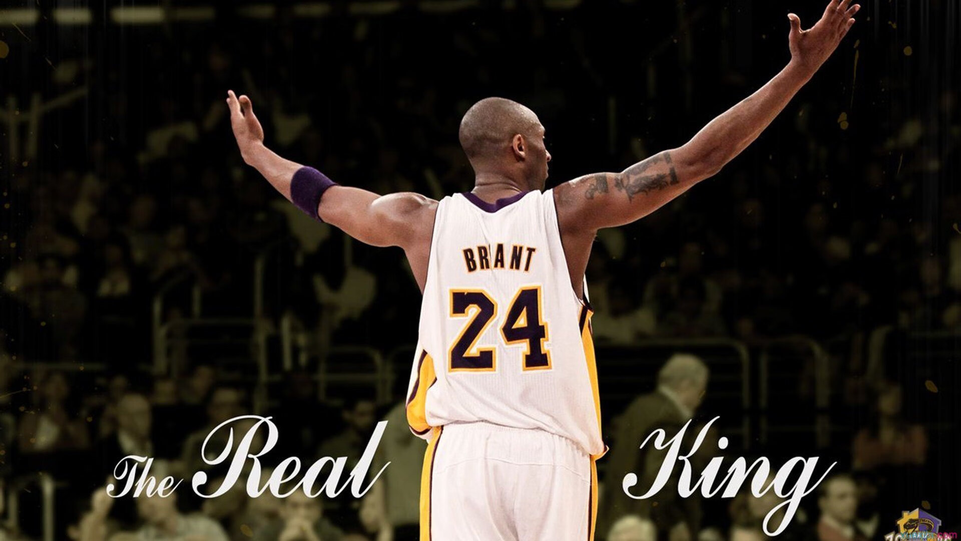 曼联冬季转会目标锁定安德森,力求补强进攻端,曼联最新冬季转会消息